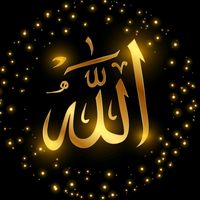 ghamzada746