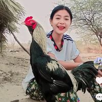 dawcherryaye535