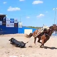 lorran_carvalho0