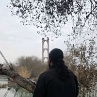 5_msab