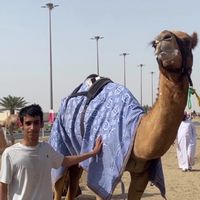 الصوت الأصلي