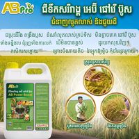 សំឡេងដើម - ABpro 🌾