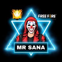 mr_sanaff