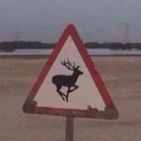 original sound - z6_q