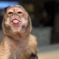 ariannymejia10