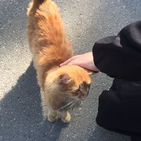 bayanamleh2