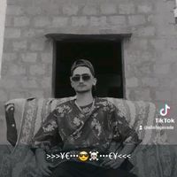 alishajavade
