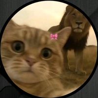 iqim__2