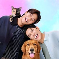 shipcaptainjungcullen