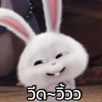 b_ml235