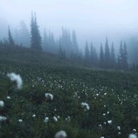 cremura_edits32
