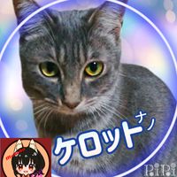 オリジナル楽曲 - ケロット