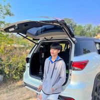 treepab_27