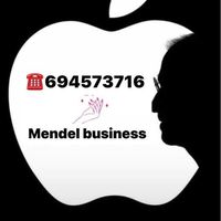 mendelbusiness