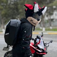 cat_courierr