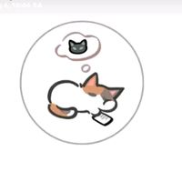 nhạc nền - nơi đây có pamiuoi