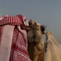الصوت الأصلي