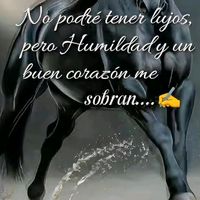 guerrero6269