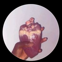 dy.sugar.boy