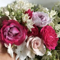 เสียงต้นฉบับ - พิจิกธันวา