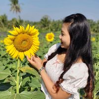 မူရင်းအသံ - Hñiń TĥũÃÿē