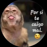 taniavasquez9736