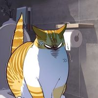 spioxwd