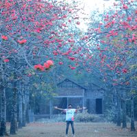 nature_with_ohi