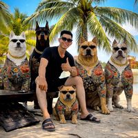 âm thanh gốc - Anh Long Và Đồng Bọn 🐶