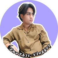 zwethitvlogger79199