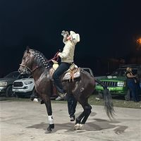 manuelrazura