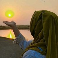 taief.hasan8