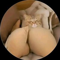 david_py31
