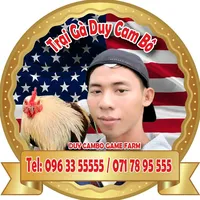 original sound - traigaduycambo.vip