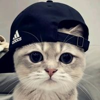 suara asli - <•ρꪖrꪖꪀDαɳȥȥ•>