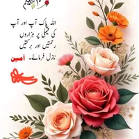 original sound - adil.maqsood50