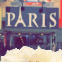 parisshoes5
