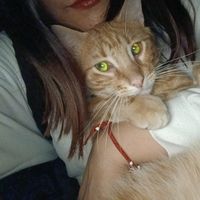 geraldinebcc