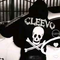 cleevo3