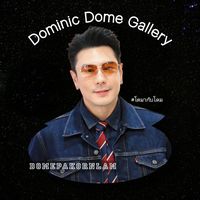 dominicdomegallery