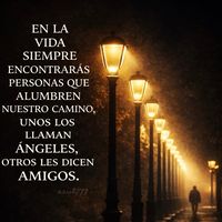 mao.duarte._