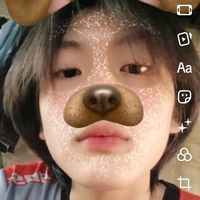 lknut388