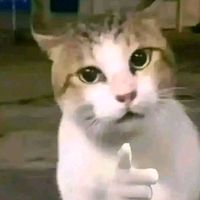 suara asli - ruyukkiray123