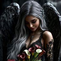 sarahradassa19