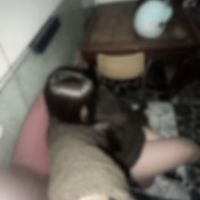 zen._.03._.29
