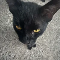 original sound - mo0namv