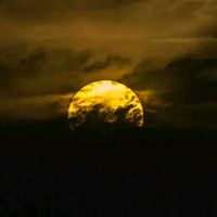 hossein5223