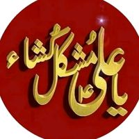 syeda.zahara55