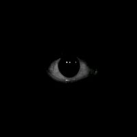 suara asli - вσcσяαʟυƨ