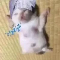yaoilp